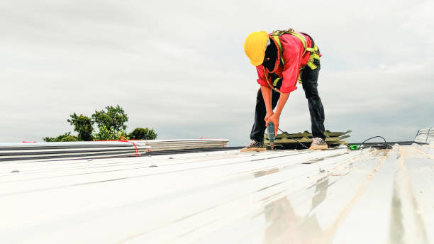 Best Roof Maintenance and Cleaning  in USA